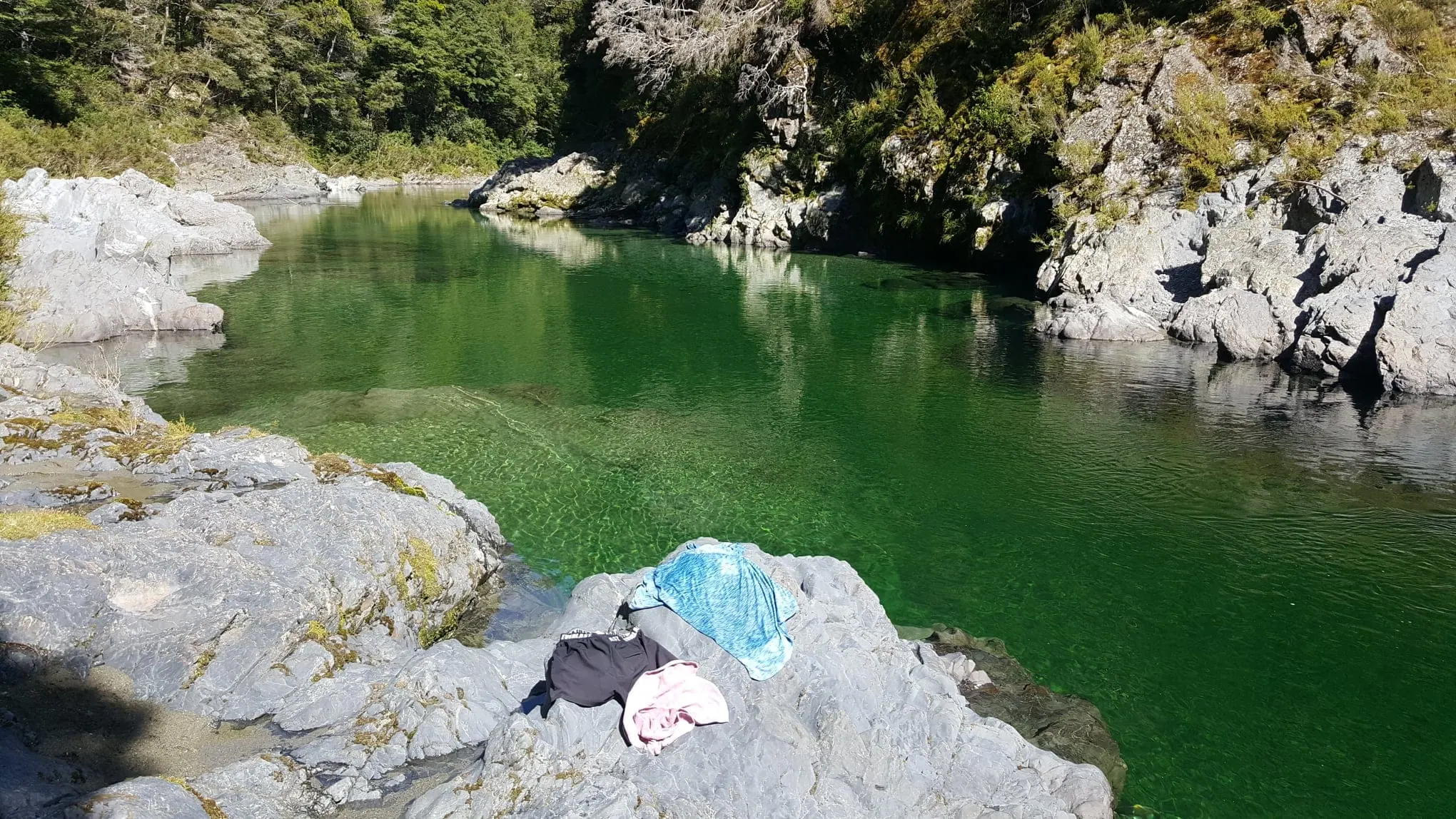 Pelorus Track Solo Tramp: A Spontaneous Richmond Range Adventure