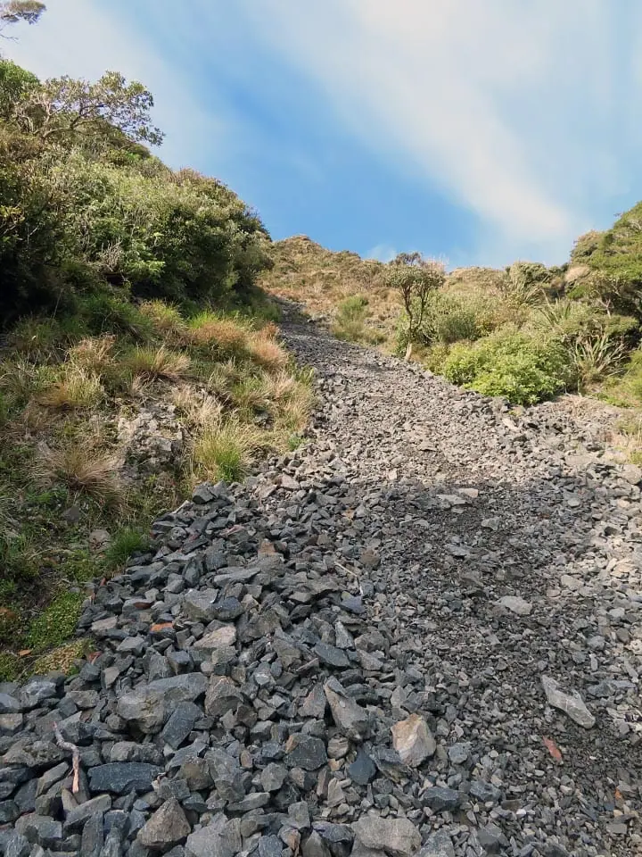 Scree slope