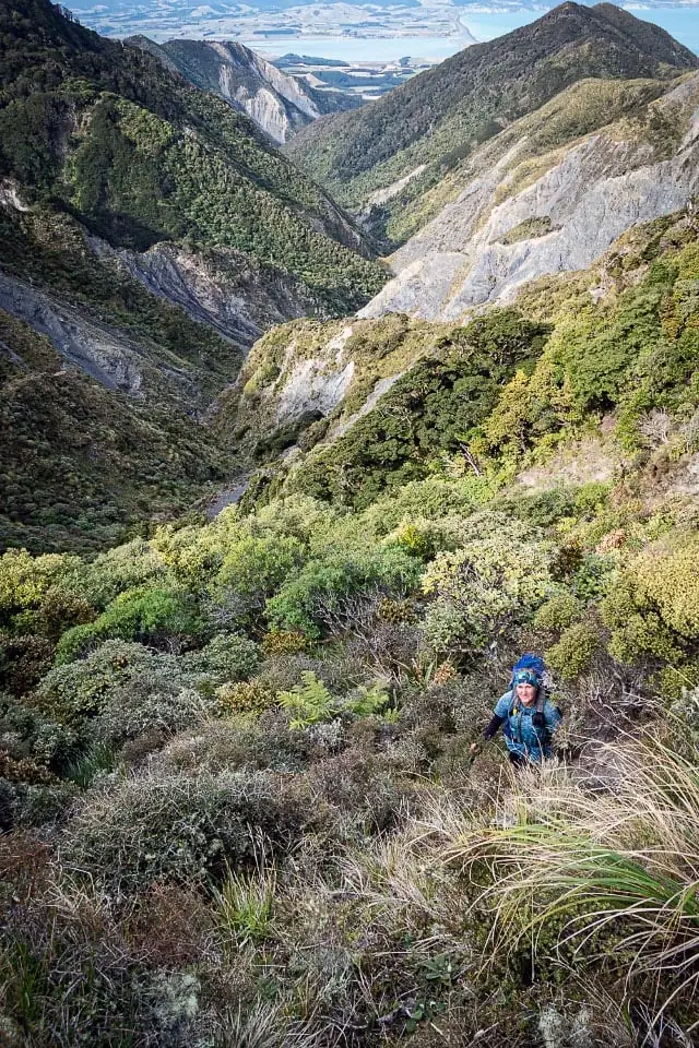 Tramping up through bush with views down the valley behind