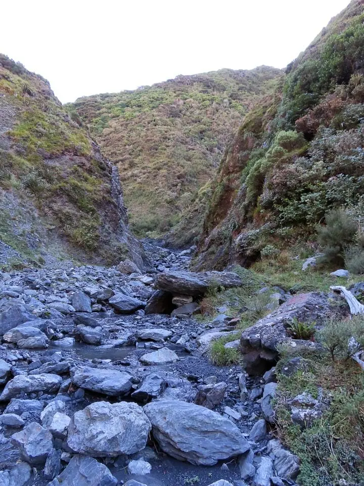 Boulder-y stream bed