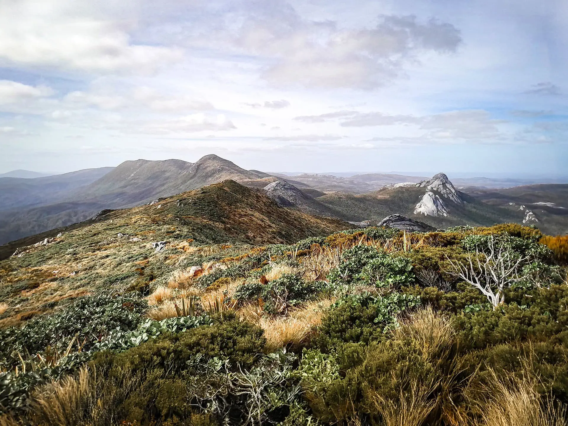 Tin Range Rakiura featured image