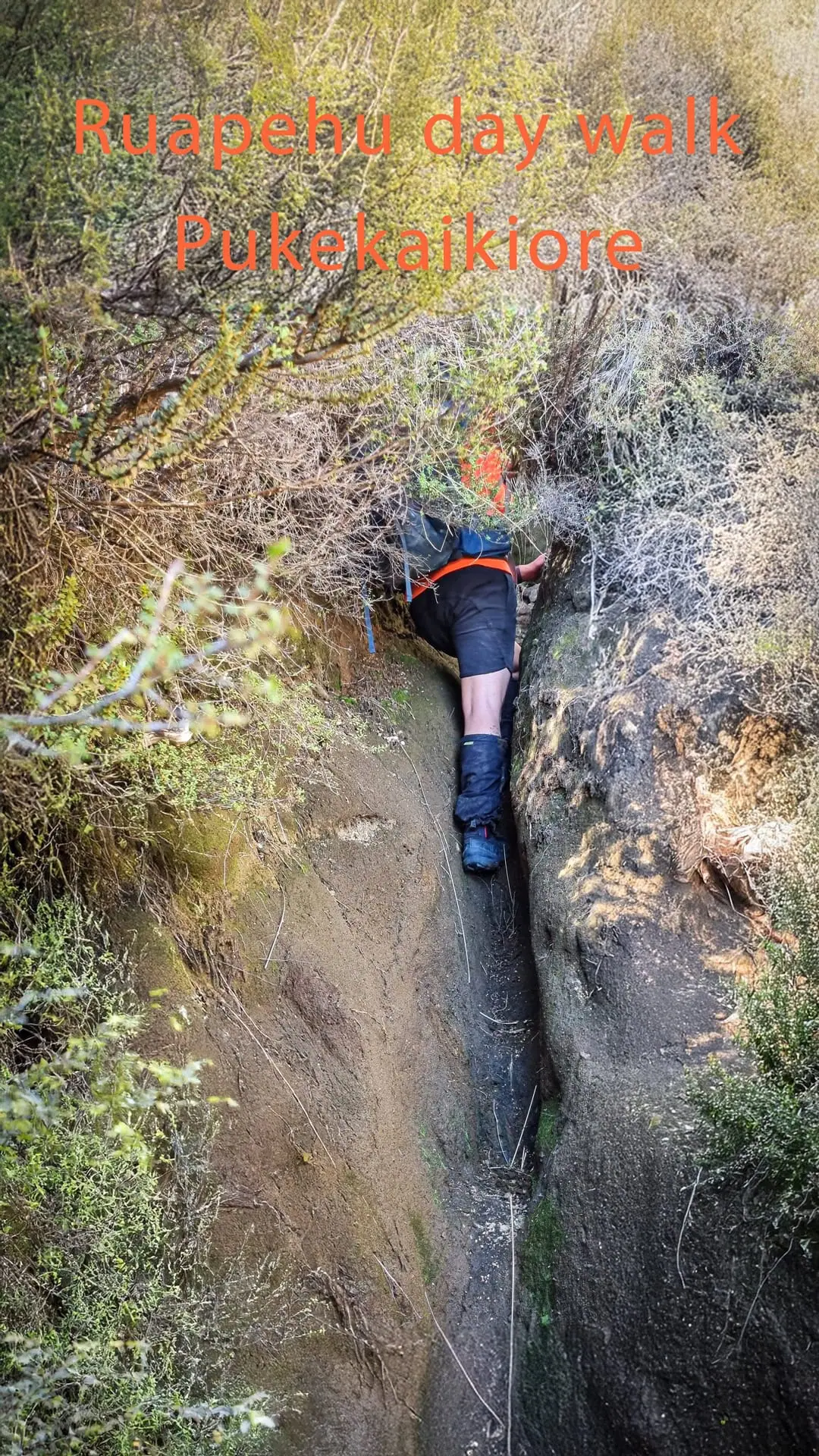 Pukekaikiore Ascent: A Guide to One of Tongariro National Park’s Least-Visited Peaks