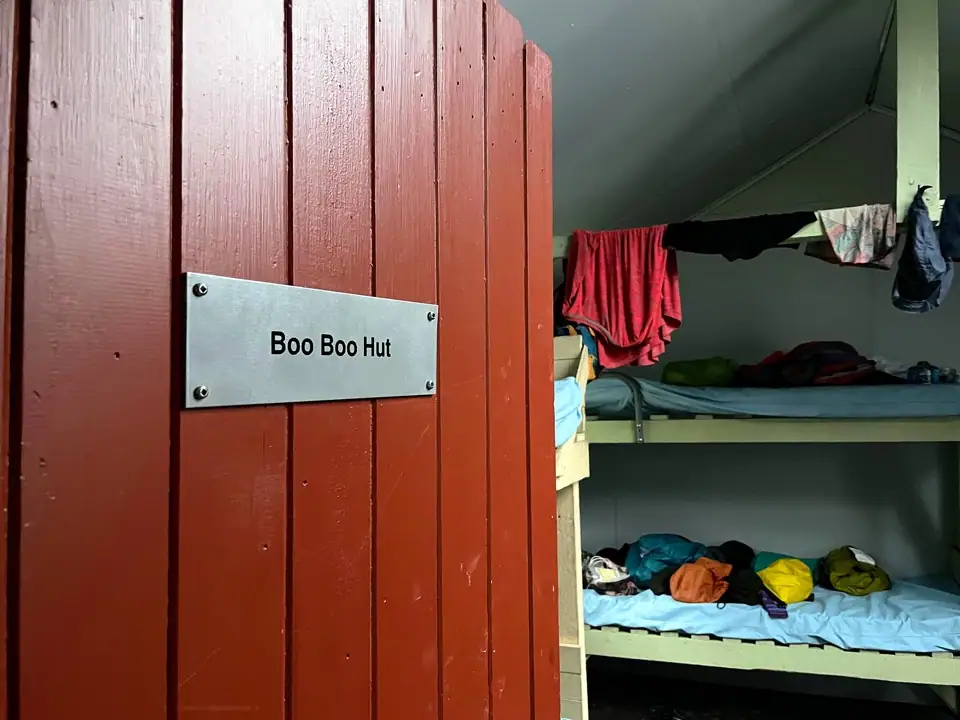 Boo Boo Hut – the Toaroha and Diedrichs Range bear hunt
