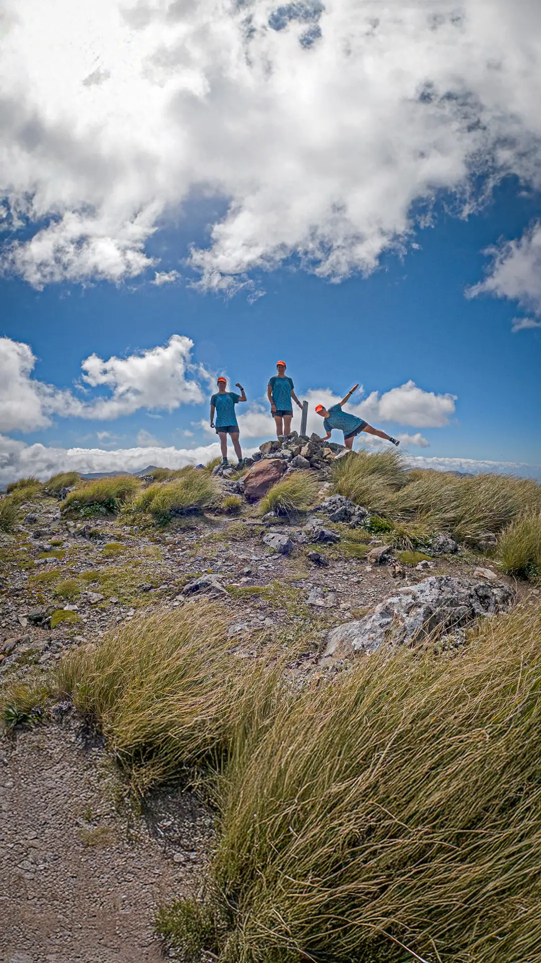 Exploring the Tararua Range: Huts, Ridges, and Alpine Flowers