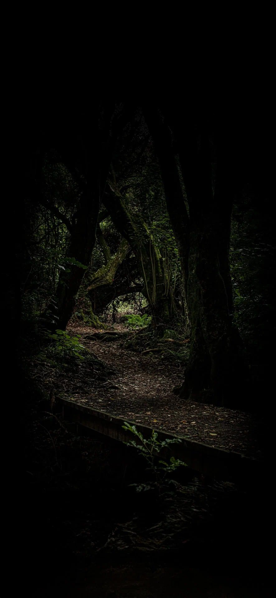  The start of the track to Kaukau near Johnsonville Park 