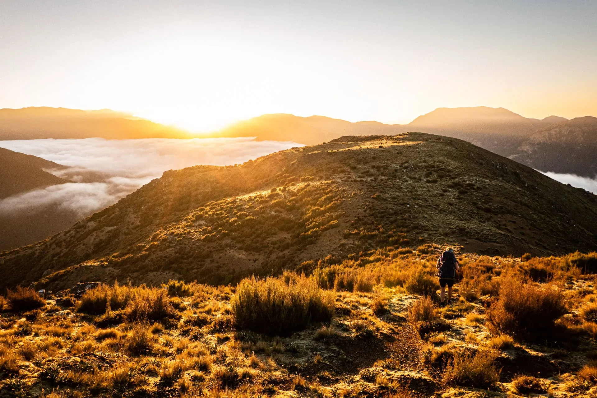 Kaweka Kaleidoscope – exploring Manson Country