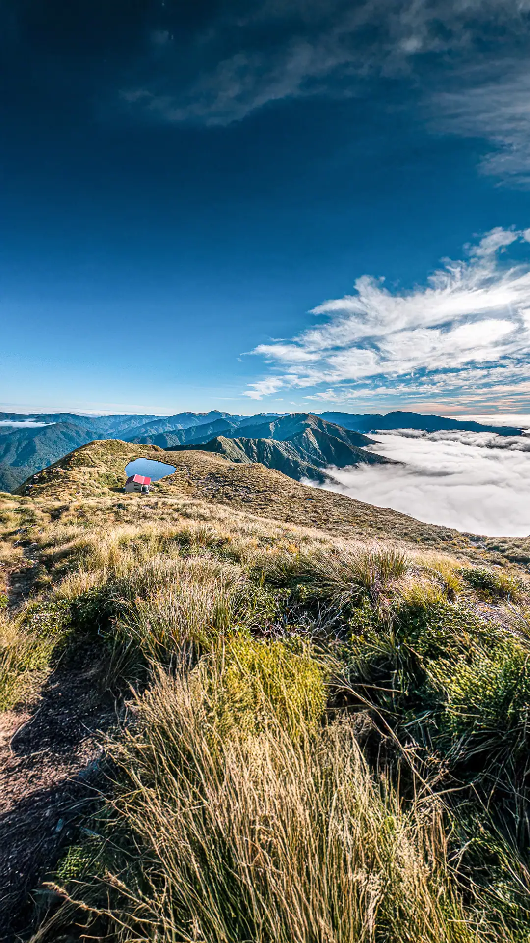 A Tararua Range high: Maungahuka Hut – my ‘why’ of tramping