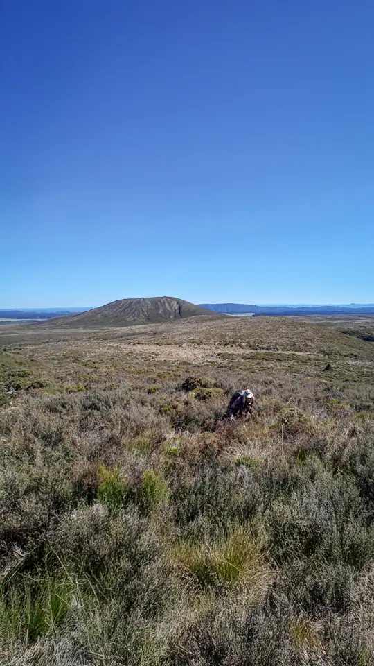 Walking on the low scrubby ridge of Pukekaikiore