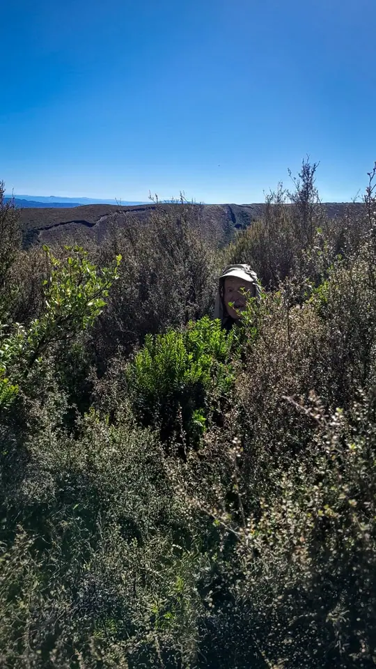 Pushing through head-high scrub on the climb to Pukekaikiore summit