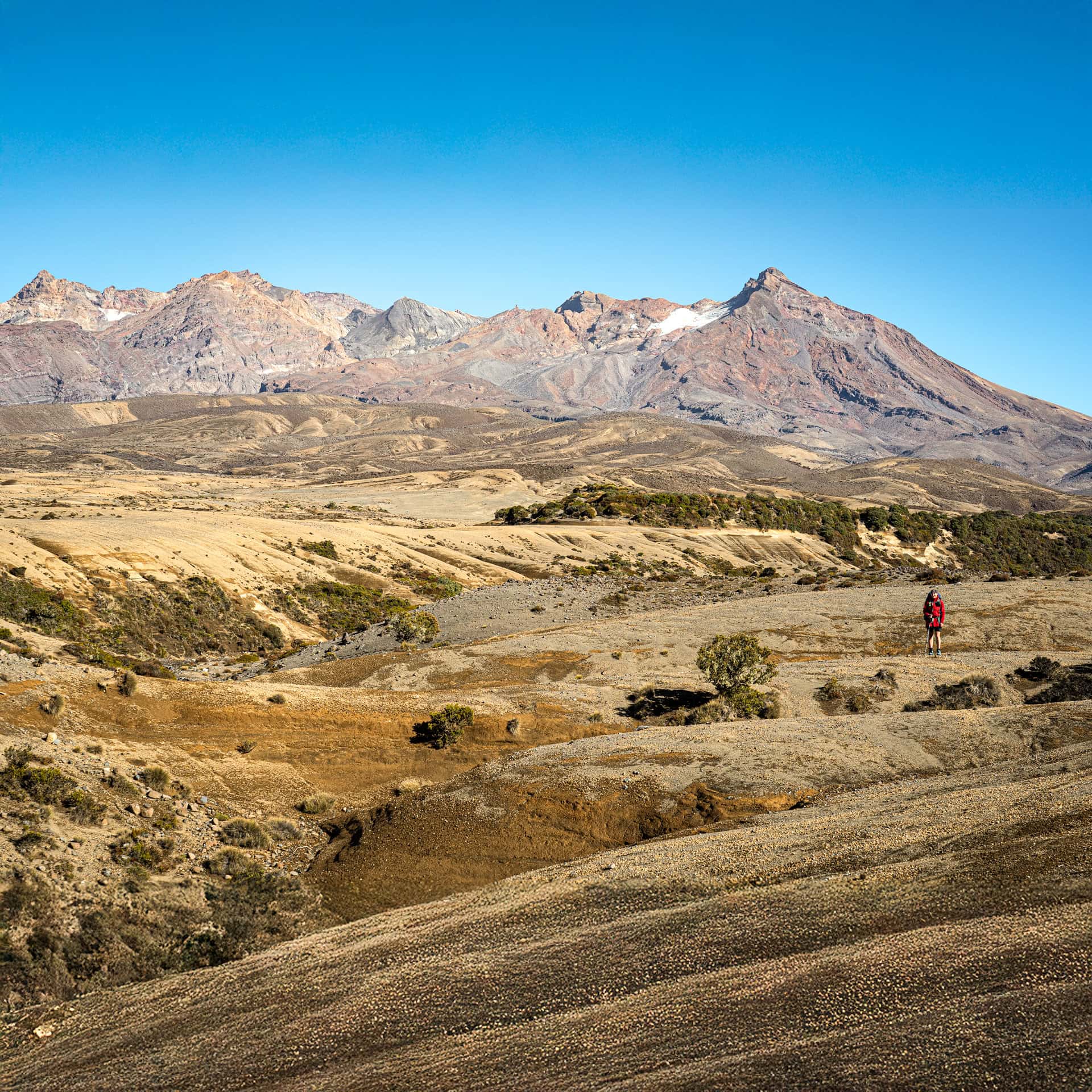 Photo of the Rangipo Desert with Mt Ruapehu behind, Tongariro National Park
