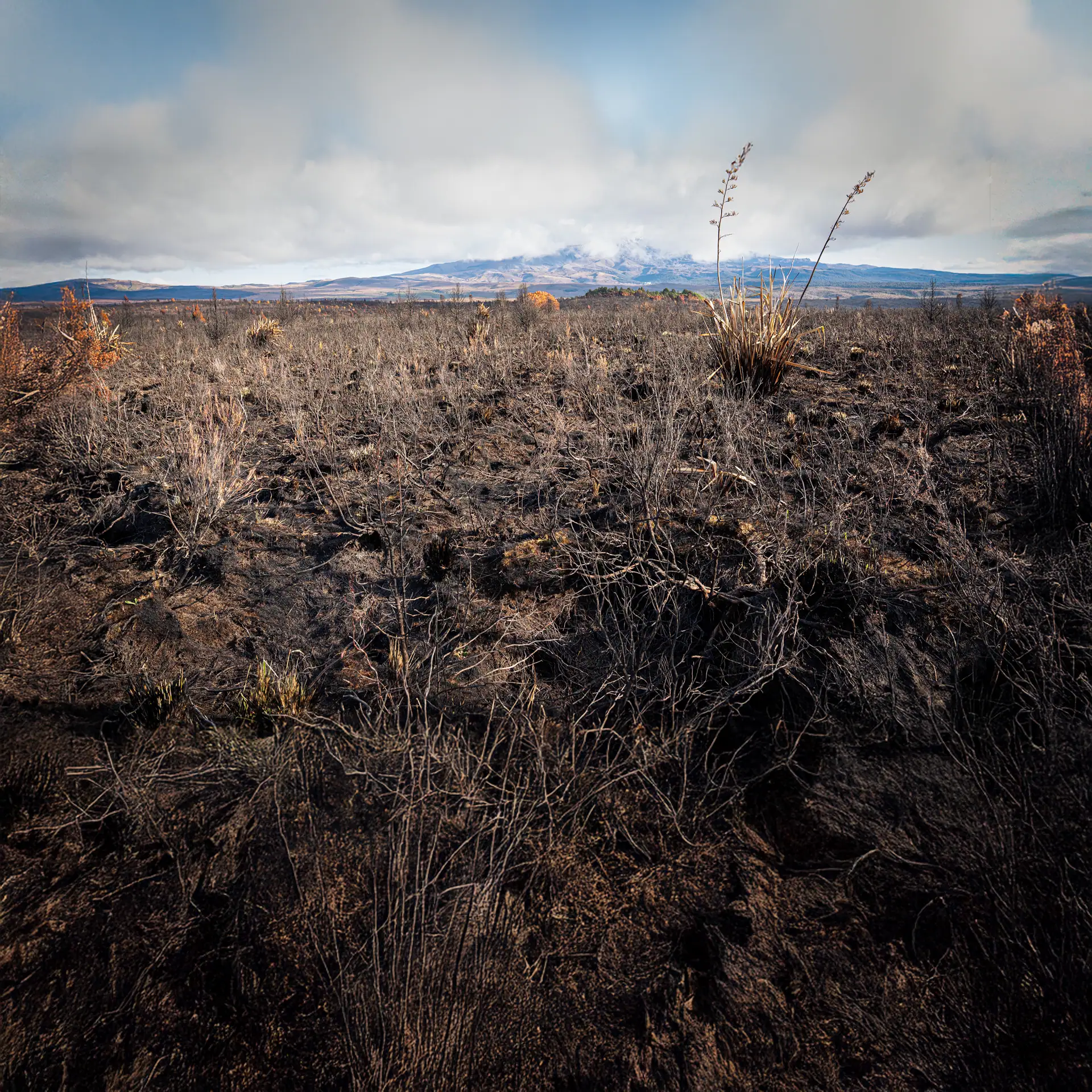 Scar of the 2025 Tongariro Fire near Mangatepopo Road