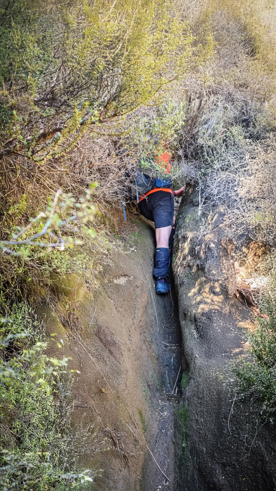 Climbing a short vertical section of the 'Ditch Track'/>