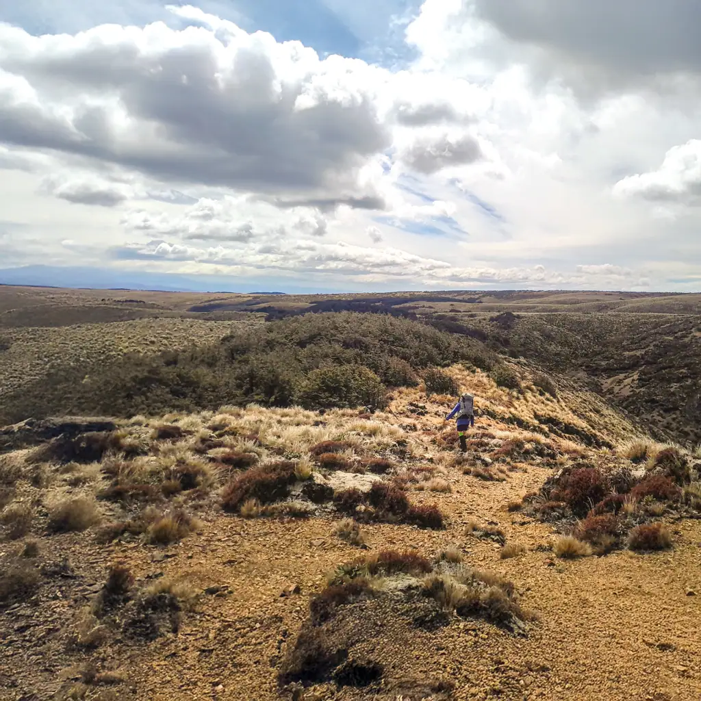 Walking on the tops of the Ruahine Range
