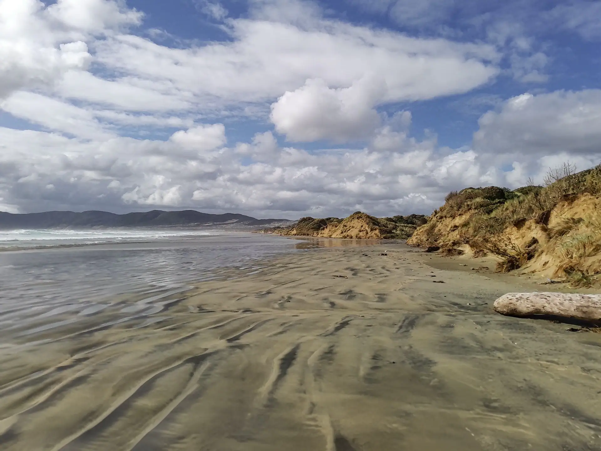 View of Mason Bay at the dramatic southern coast of Rakiura