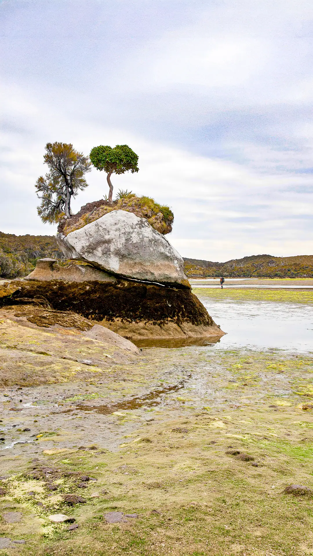 Rakiura solo tramping: Southern and North West Circuit complete trip report