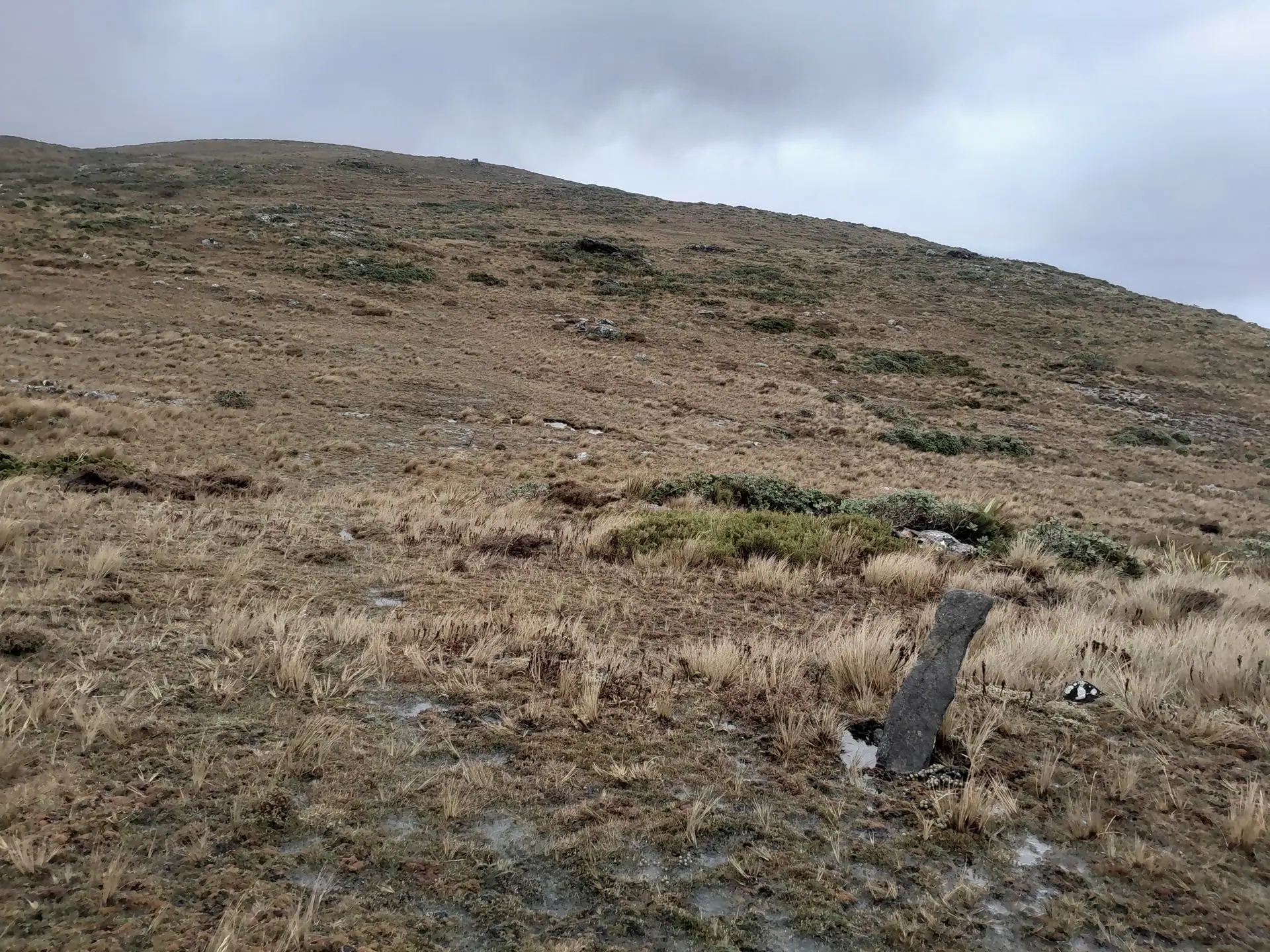 The rock track markers along the Tin Range