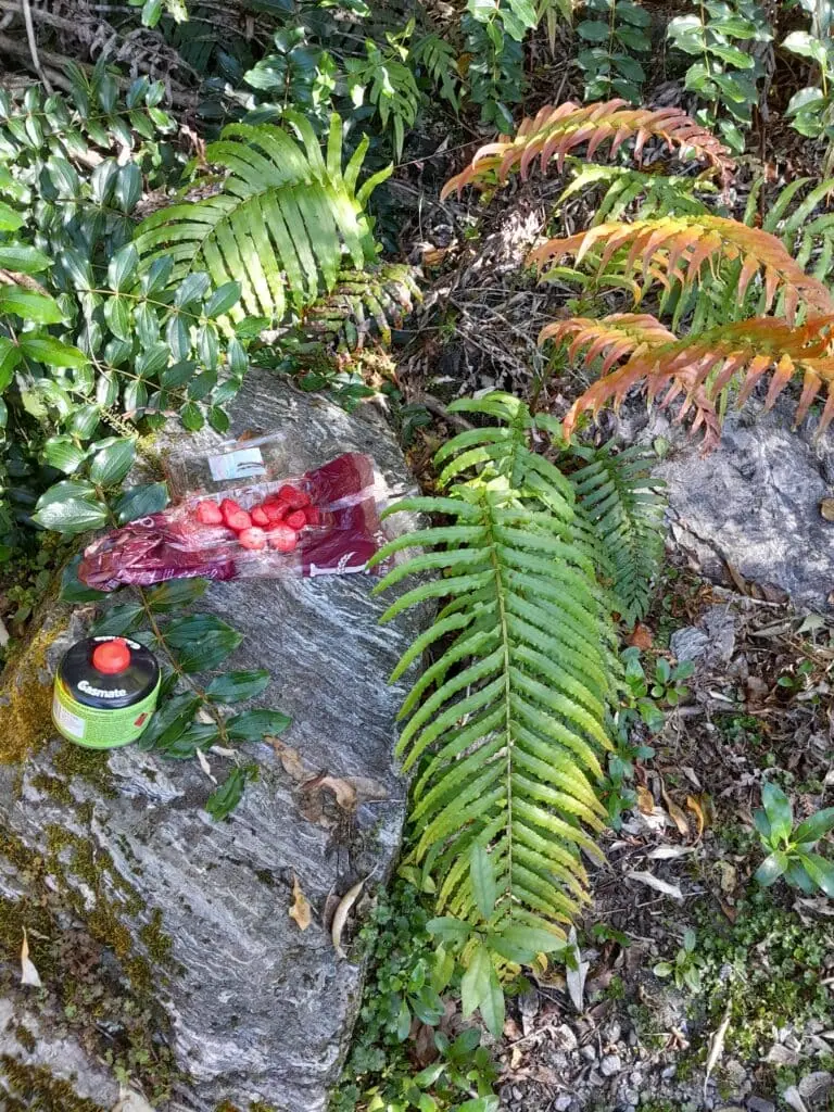 Strawberries resting on a rock next to a gas cannister at a camping spot next to Dry Creek (Little Man River) on the Mt Adams route