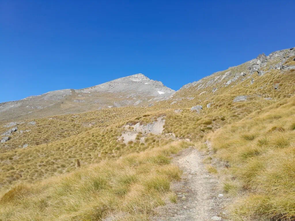 A winding gravel hiking trail leads through golden tussock grass toward the rocky summit of Black Peak (1,989m) in the Whakaari Conservation Area near Glenorchy