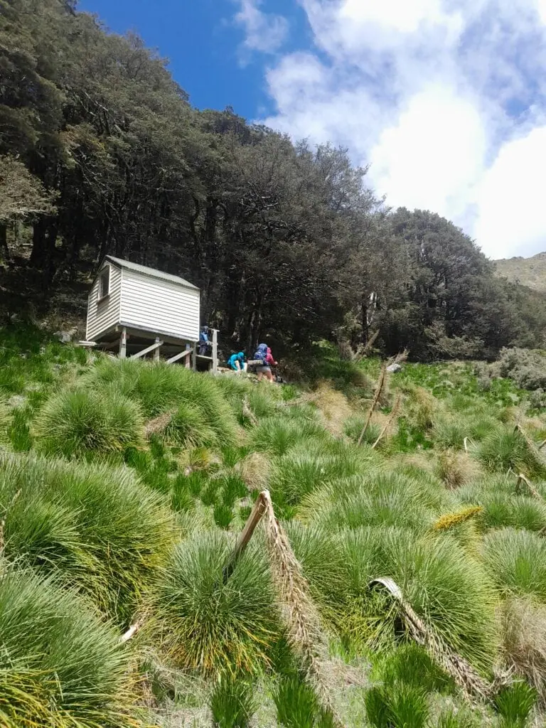 Bull Paddock Creek Hut