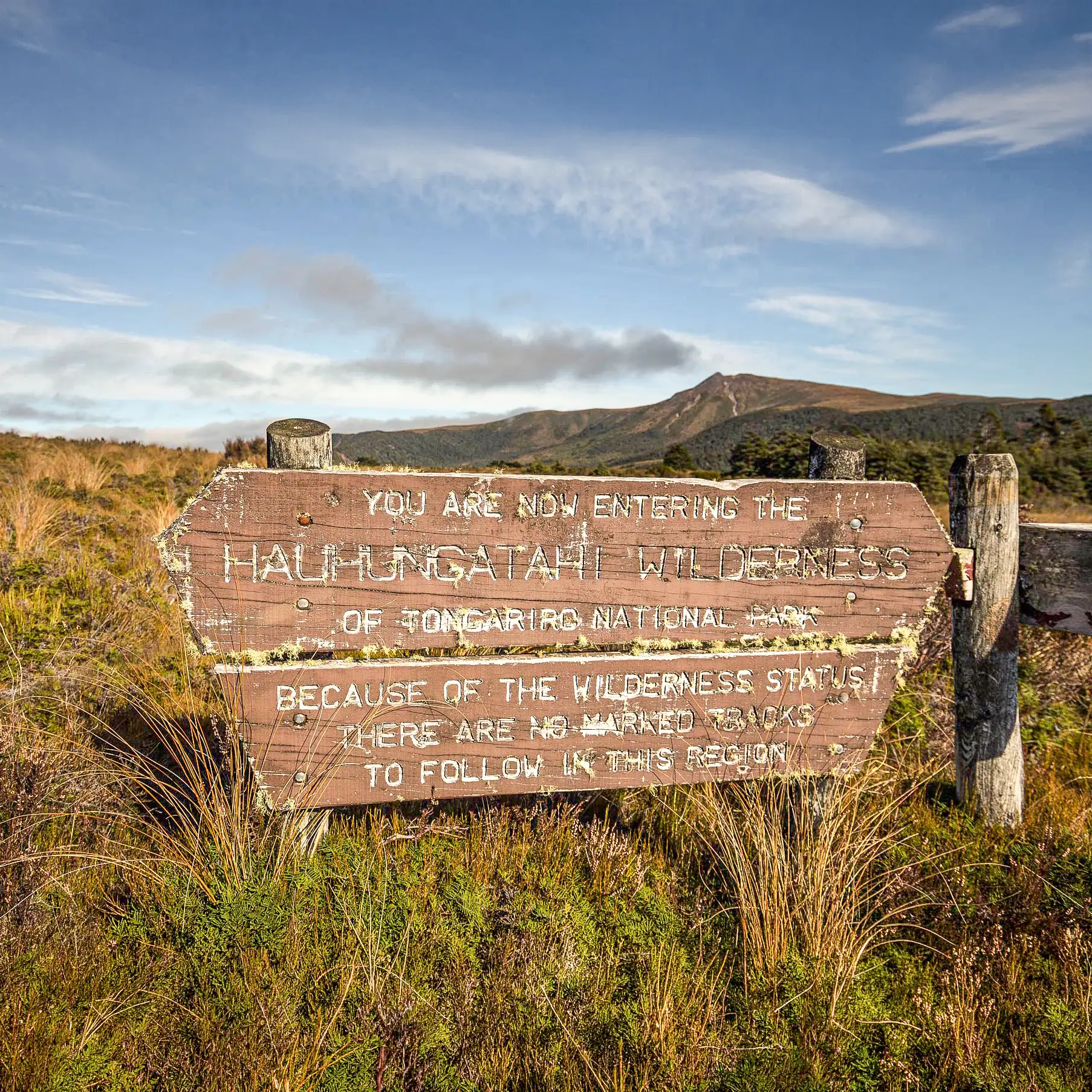 Hauhungatahi | The Gateway to Off-Track Wilderness in Tongariro National Park