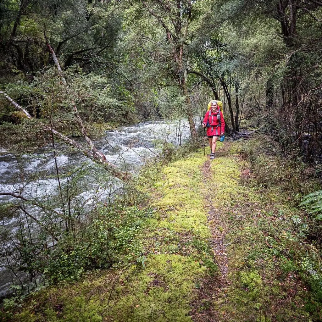 Sarah walks along an easy track through charming beech forest beside the Goulter River