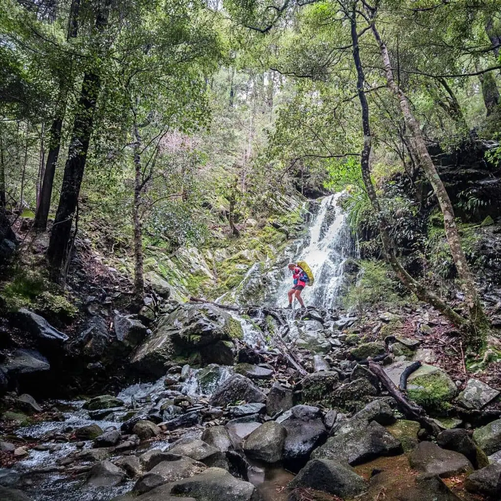 Hiker passes an attractive waterfall next to the Goulter River track, Richmond Forest Park
