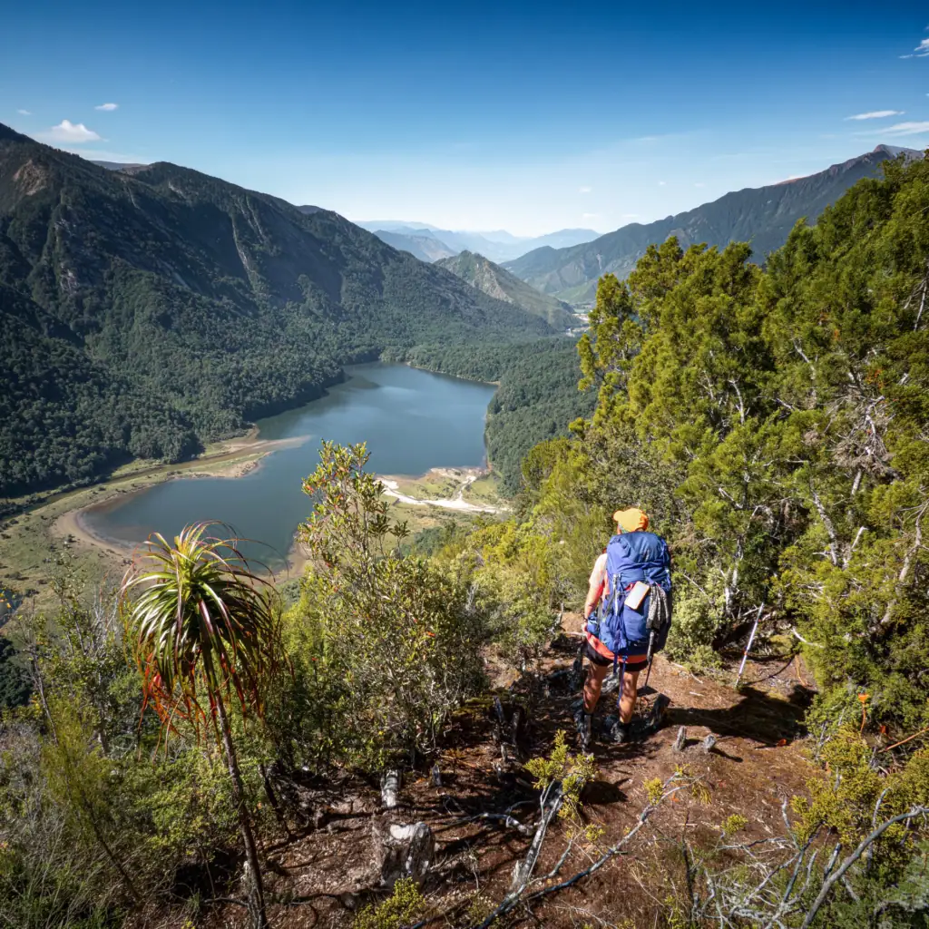 Descending off the 1000 Acre Plateau with a view down to a lake Matiri nestled amongst the trees 