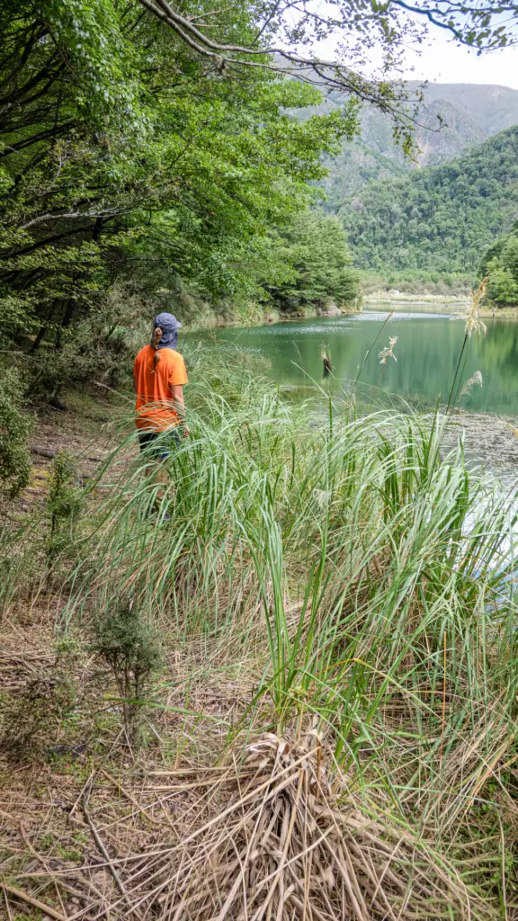 Hiker in orange t-shirt and blue hat stands at the end of a blue lake called Lake Alexander surrounded by trees with Penk Hut visible at the end of the lake