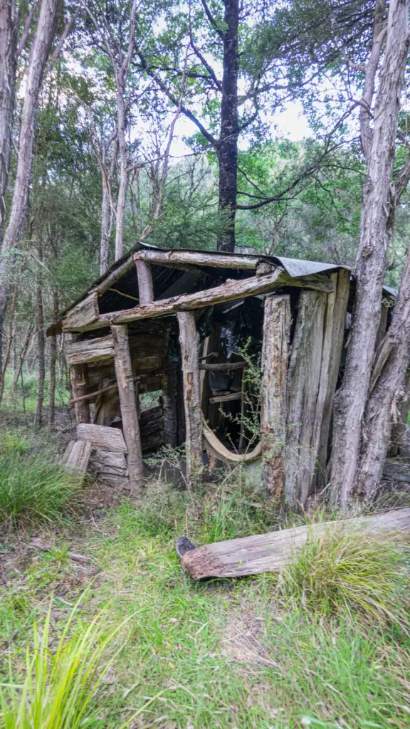 Old hut made out of manuka branches in state at Lake Alexander