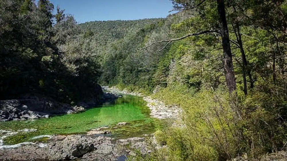 An Emerald Pool on the Pelorus Track, a highlight of a 3-day solo tramp in New Zealand.