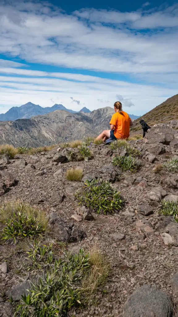 Hiker wearing an orange tshirt sits amongst tussock on a ridge with mountains known as the inland kaikoura range in the distance