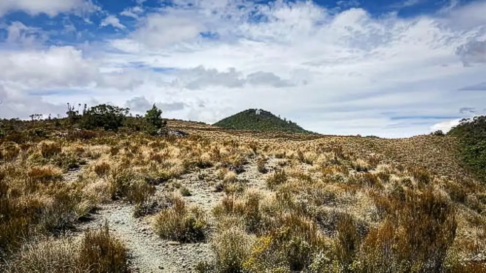 Richmond Range above the bushline on the Pelorus Track with wonderful views