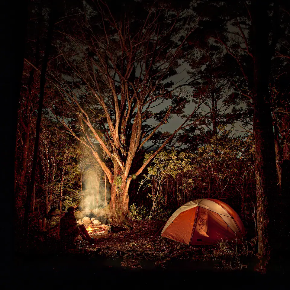 Tent and campfire in the forest beside the open grassy areas of Totara Flats makes for a delightful campsite