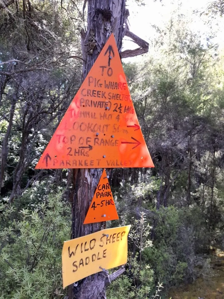 A close up photo of a number of track marker signs posted onto a manuka tree along with a sign showing the name Wild Sheep Saddle