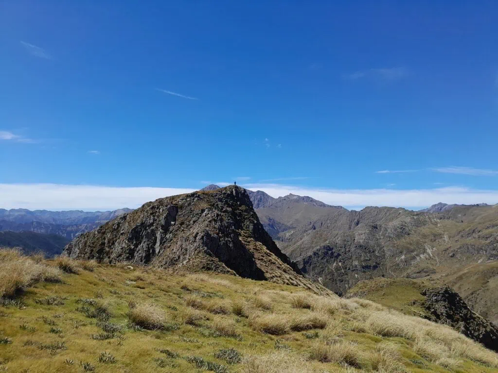 Alpine Meadow Traverse, Raglan Range in Leatham Conservation Area