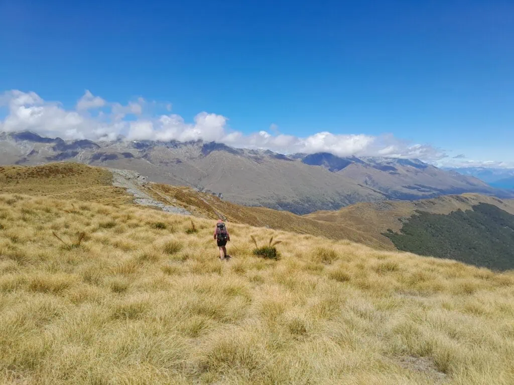 A wide angle view of tramper wearing a pink top with a backpack walking through high-altitude golden tussock on a ridgeline above the Earnslaw Burn, with views across to the Southern Alps mountains under a blue sky.