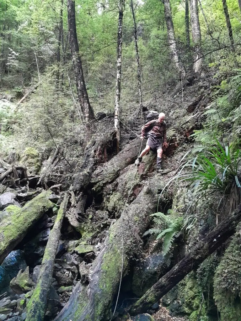 A hiker uses a rope to descend steeply over some fallen trees in the bush 