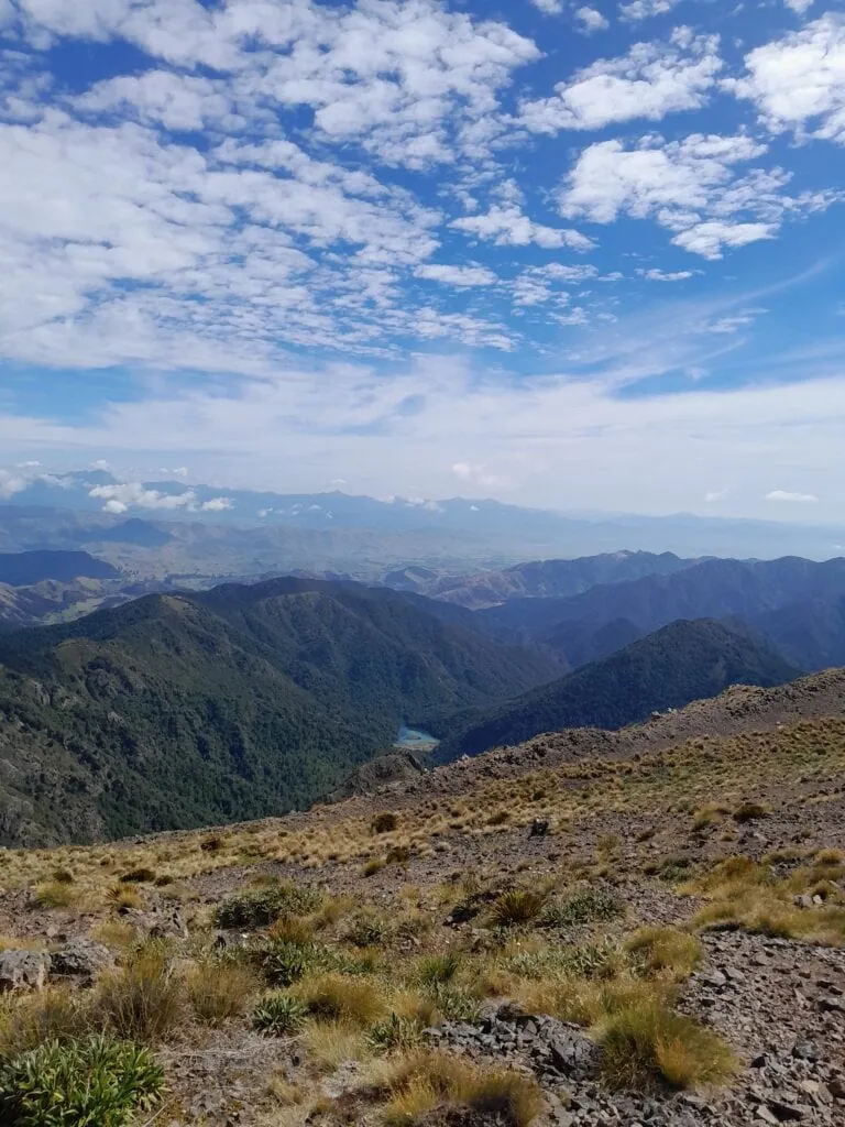 View back down from a tussock covered ridgeline to a blue lake known as Lake Alexander surrounded by trees
