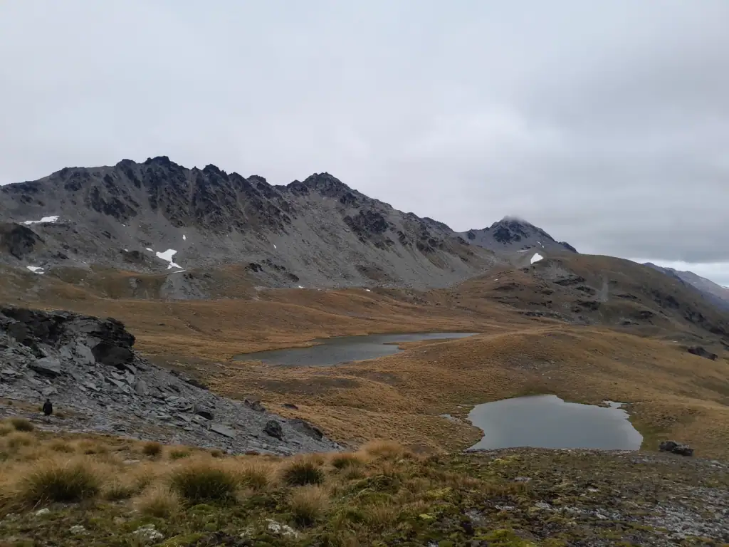 Wide view of alpine tarns nestled in golden tussock fields within the Wye Creek Basin, set against the rugged grey peaks of the Remarkables Range. on the Wye Creek Route