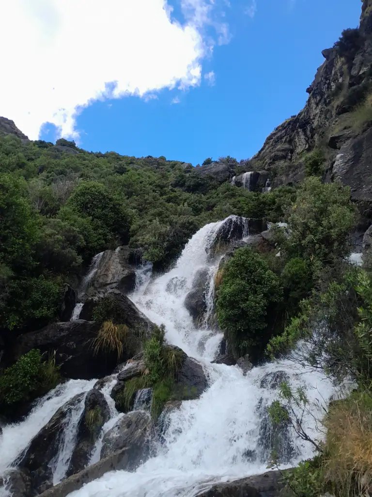 A powerful waterfall cascading through lush green beech forest and native shrubs in the South Branch of Wye Creek, Remarkables Range.