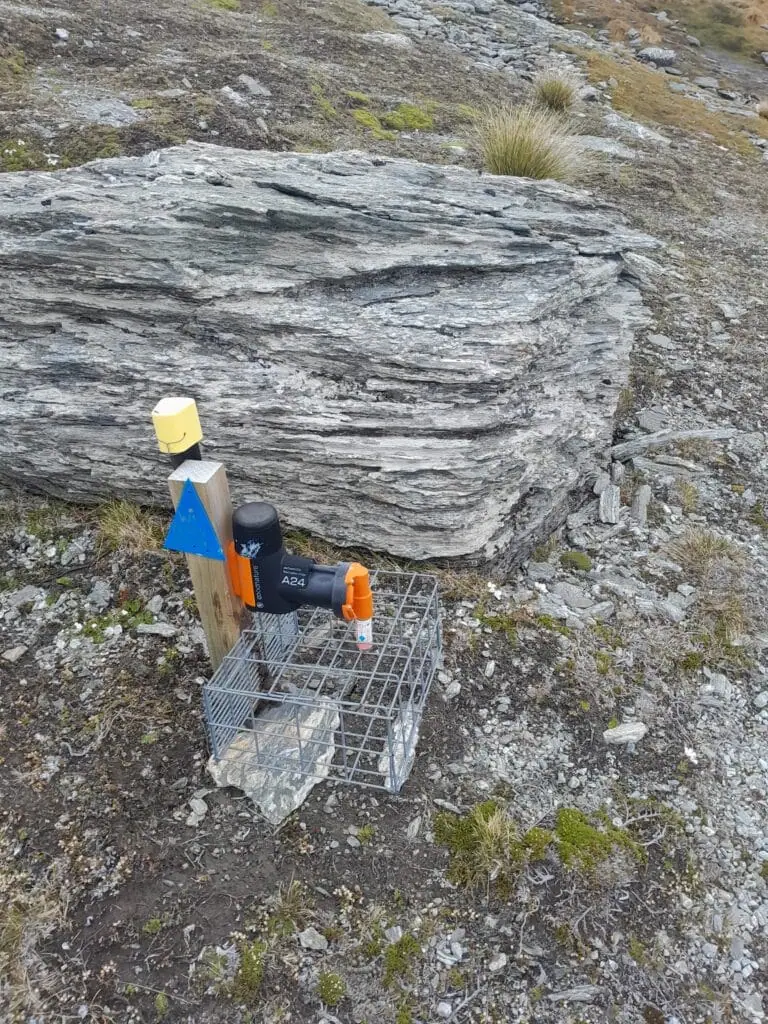 A kea-proof Goodnature A24 automatic pest trap with a wire shroud to protect it from cheeky kea, installed next to a rock on the Wye Creek alpine route in the Remarkables Range.