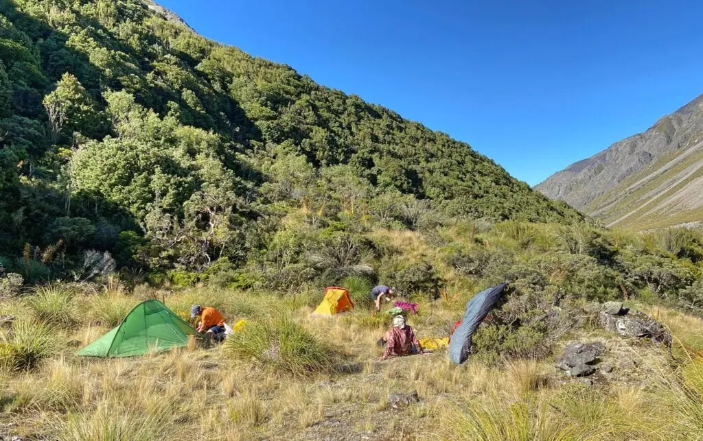 A backcountry campsite in Alma Stream, Two Thumb Range, Canterbury. The image shows three hikers and their tents pitched in an open tussock clearing surrounded by dense native forest, spaniards and rugged mountain slopes.