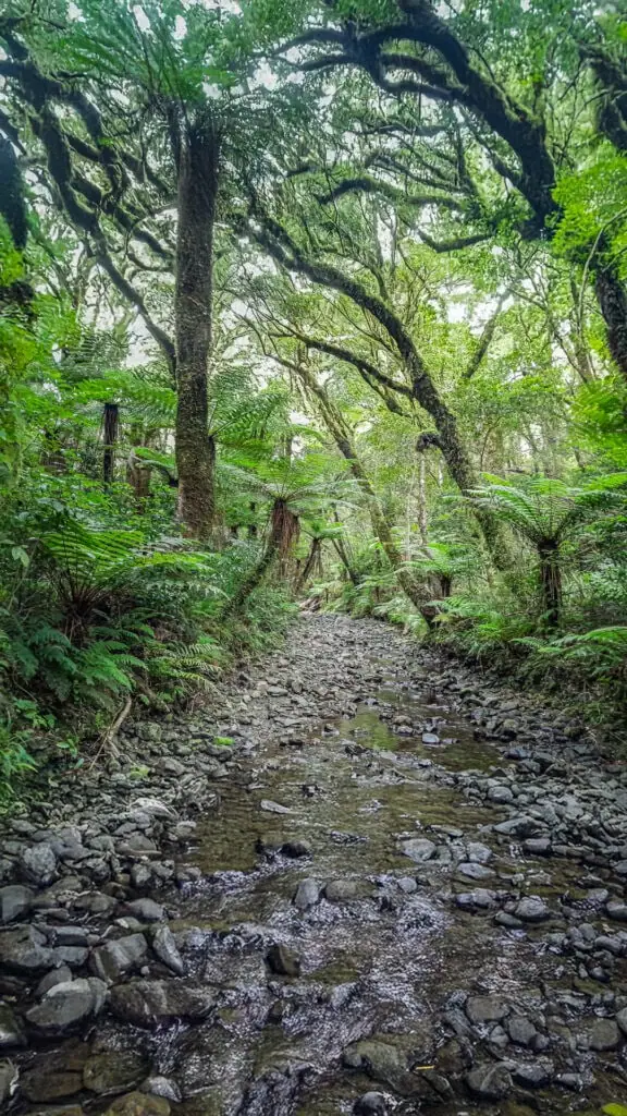 The beautiful Gentle Annie Creek provides mostly easy walking from the saddle to the Main Holdsworth Track
