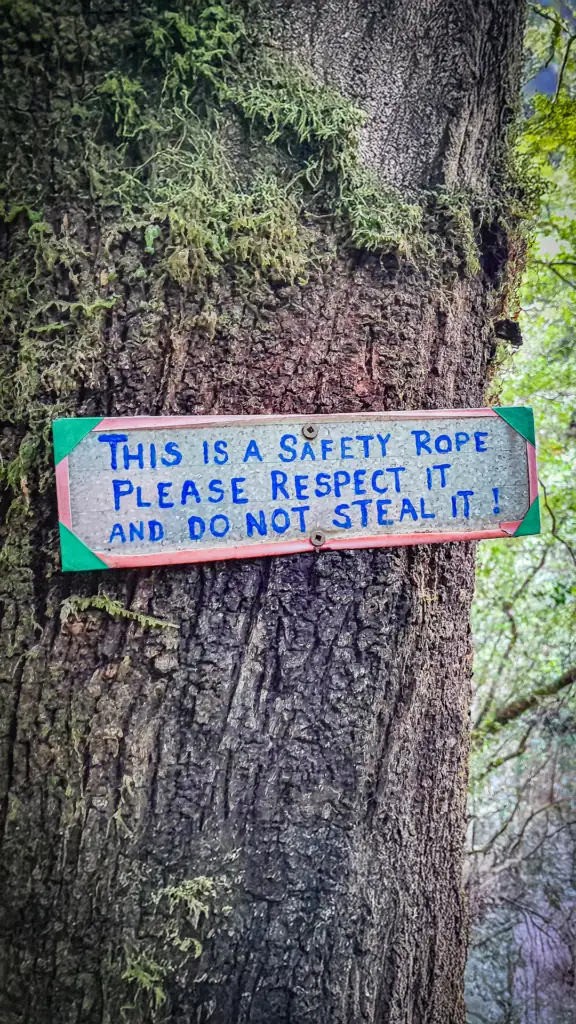 The sign on the tree say 'Please do not steal the safety rope'. It's a shame when people have to be told that especially when it is on a trapline protecting native species.