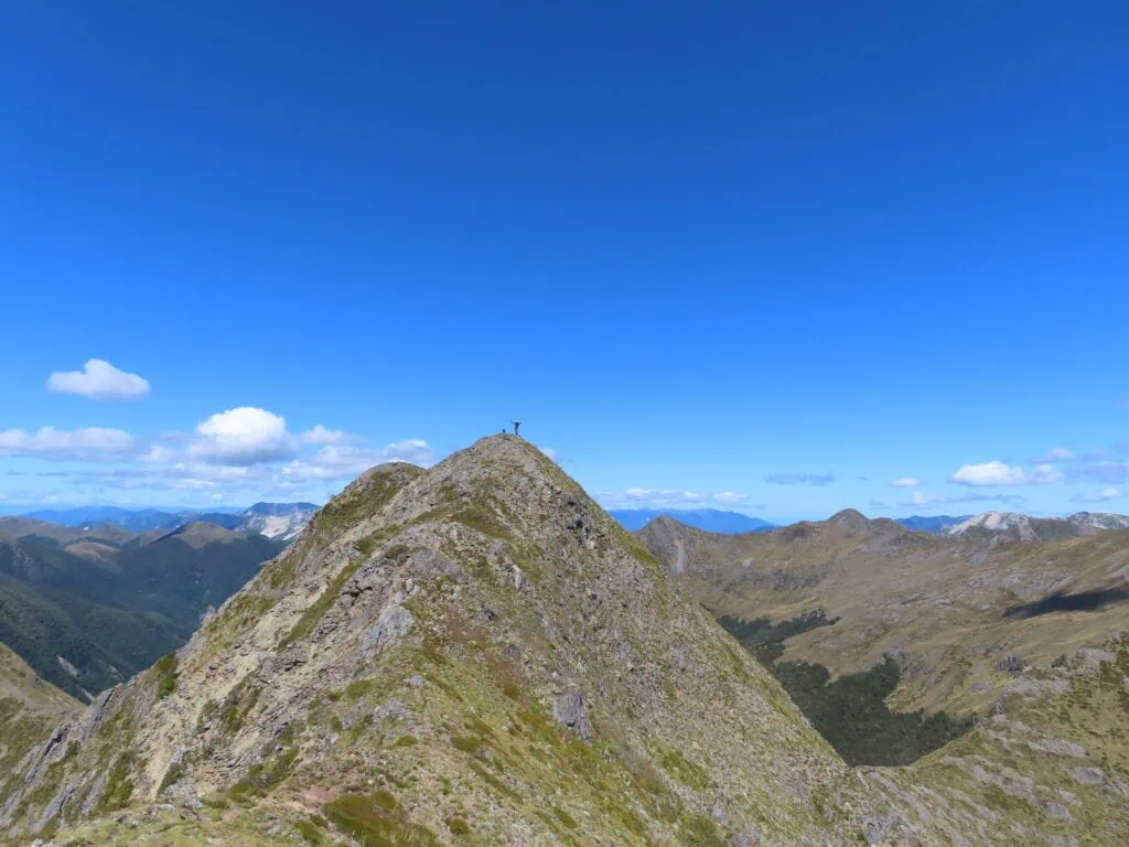 Hiker standing on the top of a rounded peak known as Nugget Knob with mountain Range in the background, Kahurangi national park