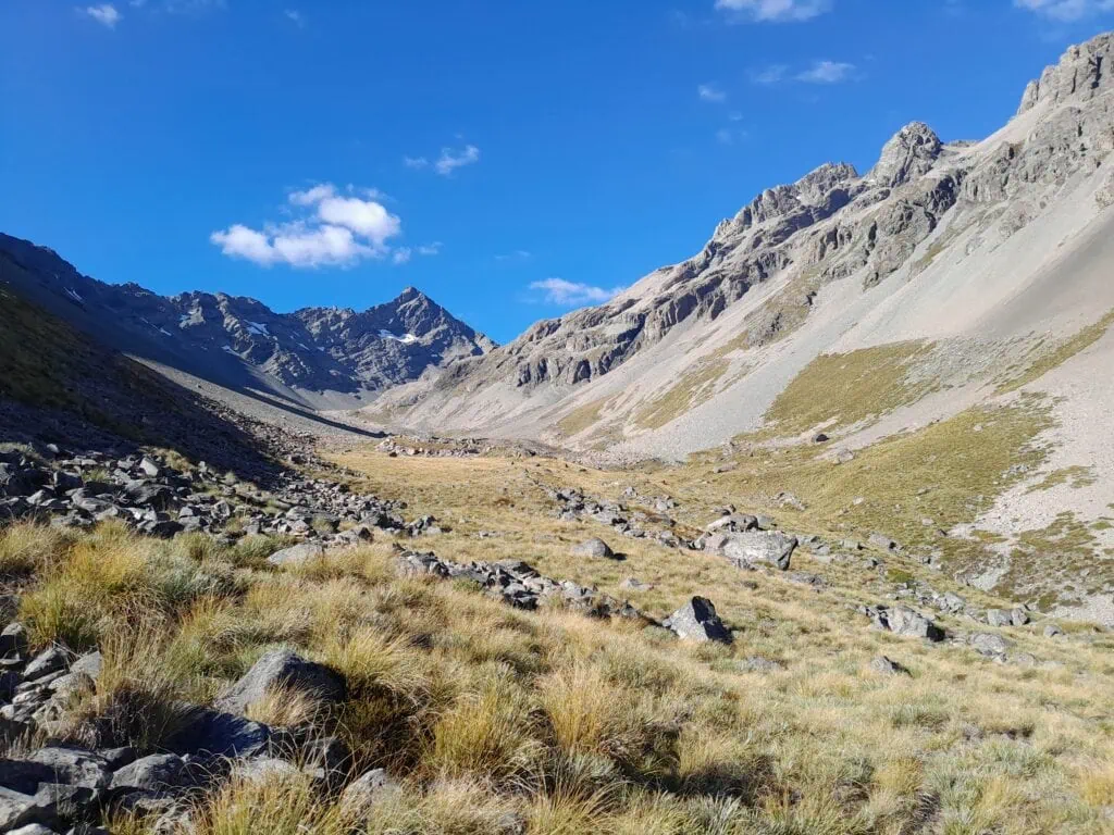 The golden tussock and boulder strewn valley of Trojan Stream, looking up to a tall and pointy peak called Alma Peak