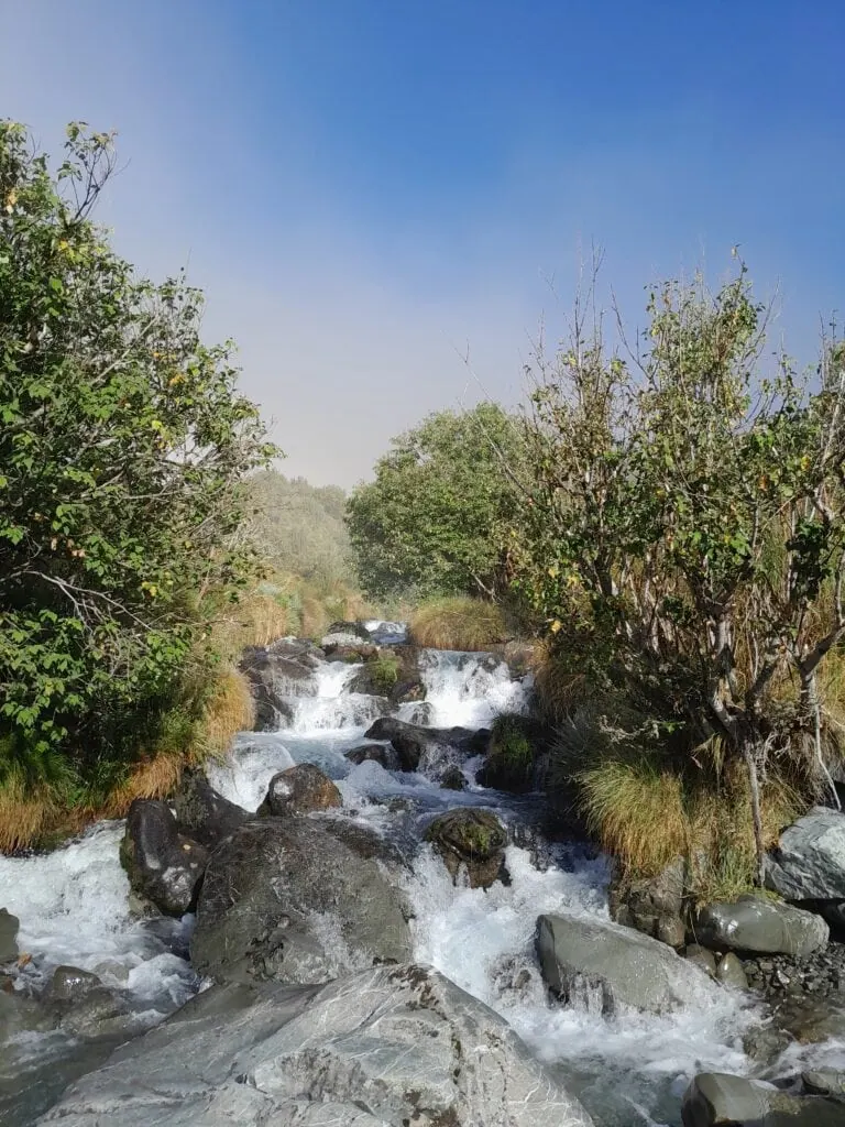 A cascading section of Black Birch Creek in the Two Thumb Range, Canterbury. The fast-flowing mountain creek runs over dark boulders, framed by native mountain ribbonwood trees under a clear blue alpine sky.