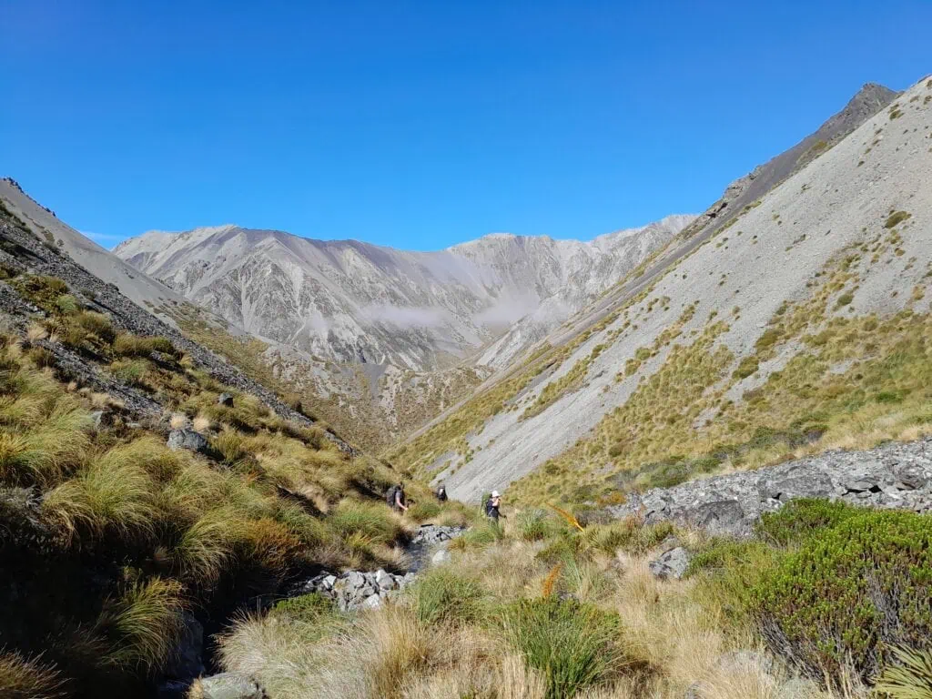 Trampers climbing through a high-alpine valley towards Inkerman Saddle in the Two Thumb Range. The landscape features steep scree slopes, golden tussock, and flowering spaniards (Aciphylla) under a bright blue sky in Canterbury.