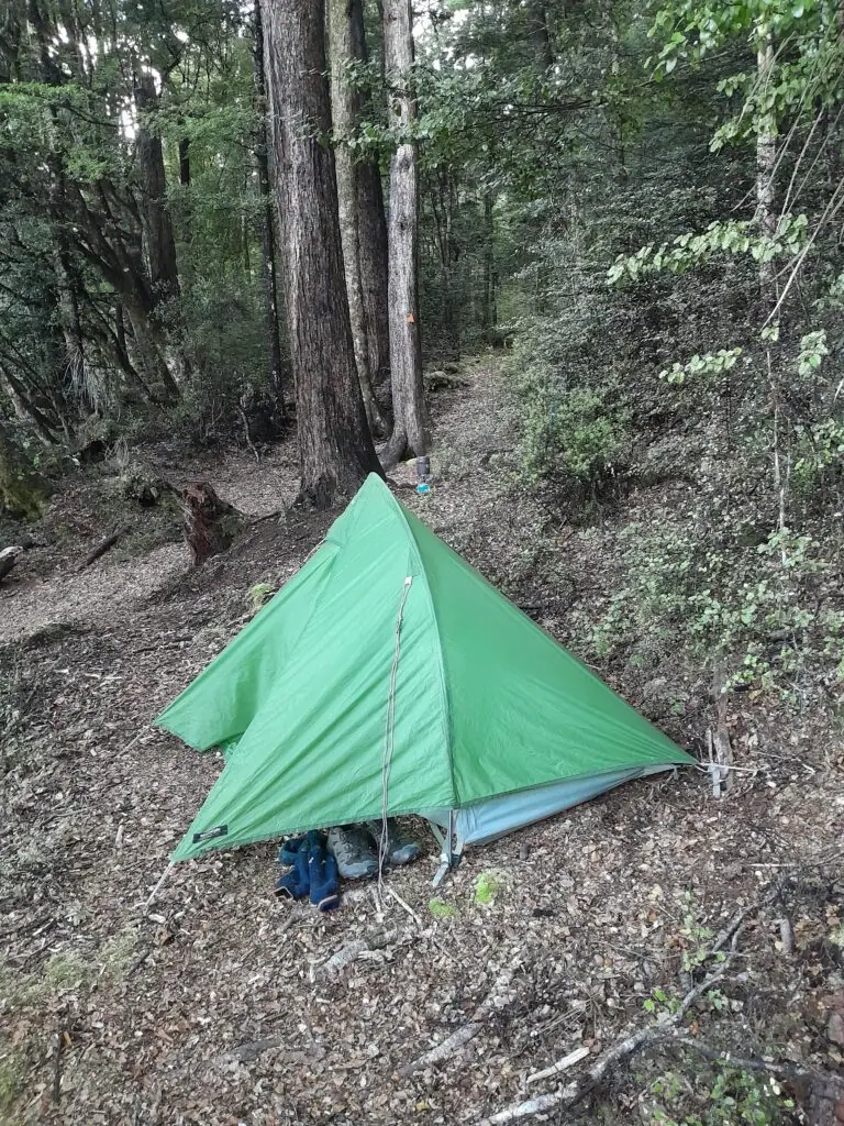 A green tent amongst beech forest in the middle of a track near misery jetty at the base of the mt misery track