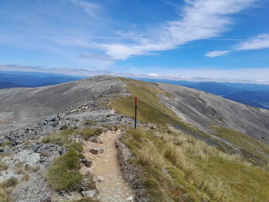 A visible foot trail along a broad ridge on the Mt Cedric Route with a snow pole marking the trail with scree slopes and tussock in Nelson Lakes